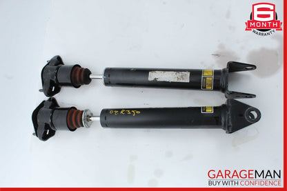06-13 Mercedes W251 R500 R350 Rear Left and Right Suspension Shock Strut Set OEM