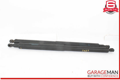 12-15 BMW X1 Rear Right and Left Side Liftgate Tailgate Lift Support Shock Strut