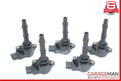 06-10 Mercedes W204 C300 CLK350 Delphi Ignition Coil Spark Plug Set of 6 pc OEM