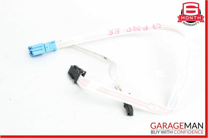 06-13 Mercedes W251 R350 R550 Rear Right Passenger Side Door Wire Harness OEM