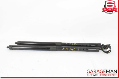 11-14 Porsche Cayenne 958 Rear Tailgate Trunk Lift Support Strut Shock Set OEM