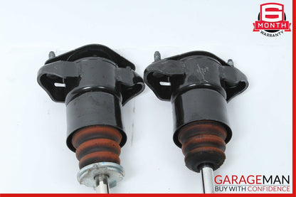 06-13 Mercedes W251 R500 R350 Rear Left and Right Suspension Shock Strut Set OEM