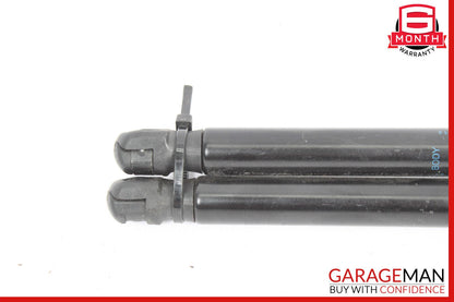 06-09 Range Rover Left & Right Tailgate Liftgate Lift Cylinder Strut OEM