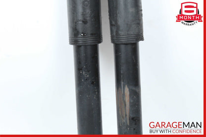 03-09 Mercedes W211 E350 E550 Rear Left & Right Shock Absorber Strut Set OEM