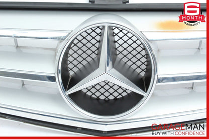 08-14 Mercedes W204 C250 C300 Radiator Center Grill Cover Mesh Panel OEM