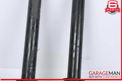 17-23 Tesla Model 3 Rear Left and Rear Right Side Shock Strut Absorber Set OEM