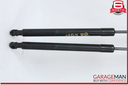 09-17 Audi Q5 SQ5 Rear Left and Rear Right Side Trunk Liftgate Support Cylinder