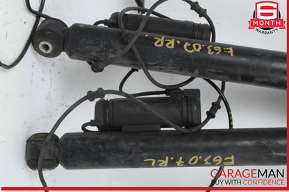 03-09 Mercedes W211 E63 AMG Rear Left and Right Side Shock Strut Absorber Set