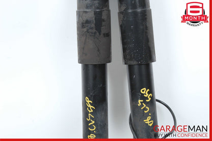 03-11 Mercedes W219 CLS550 Strut Shock Absorber Rear Left & Right Set of 2 OEM