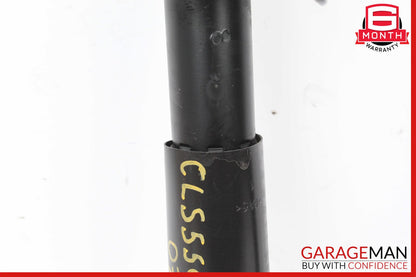 Mercedes W219 CLS550 CLS500 Strut Shock Absorber Rear Left & Right Set of 2 OEM