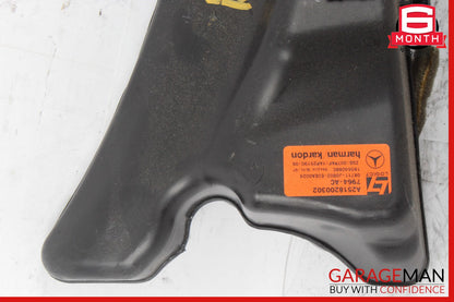 06-13 Mercedes W251 R350 R320 Rear Left Quarter Sound Speaker 2518200302 OEM