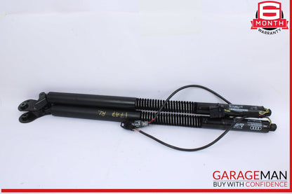12-18 Audi A7 Trunk Lid Left & Right Shock Lift Support Strut Set 4G8827851F OEM