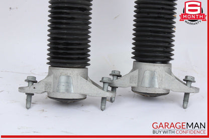 17-23 Tesla Model 3 Rear Left and Rear Right Side Shock Strut Absorber Set OEM
