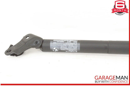 16-22 BMW X1 F48 Rear Right and Left Side Trunk Lift Shock Strut Set OEM
