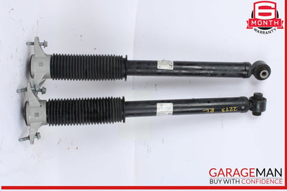 17-23 Tesla Model 3 Rear Left and Rear Right Side Shock Strut Absorber Set OEM