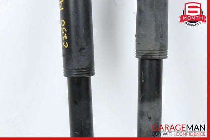 06-14 Mercede R171 SLK350 C300 Rear Left And Right Shock Strut Absorber Set OEM