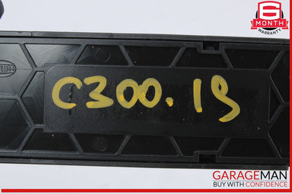 15-20 Mercedes W205 C300 C350 Rear Overhead Dome Light Lamp 2389060001 OEM
