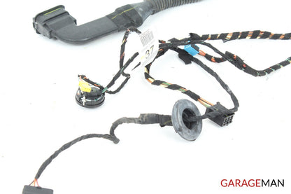 06-12 Mercedes X164 ML63 AMG GL450 Rear Left Side Door Wiring Harness Wire A124