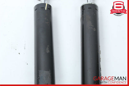 06-13 Mercedes W251 R500 R350 Rear Left and Right Suspension Shock Strut Set OEM