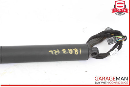 15-18 Audi Q3 Rear Left & Right Side Tailgate Liftgate Lift Cylinder Struts