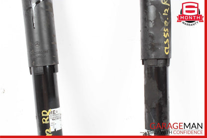 12-18 Mercedes W218 CLS550 Strut Shock Absorber Rear Left & Right Set of 2 Pc