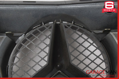 08-14 Mercedes W204 C300 Radiator Center Grill Cover Mesh Panel OEM