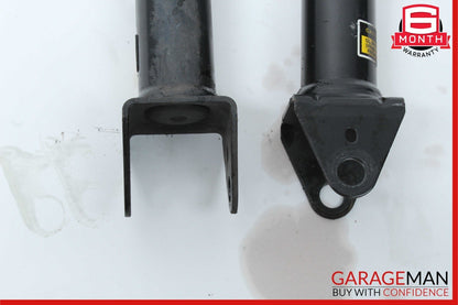 06-13 Mercedes W251 R500 R350 Rear Left and Right Suspension Shock Strut Set OEM
