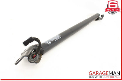 16-22 BMW X1 F48 Rear Right and Left Side Trunk Lift Shock Strut Set OEM