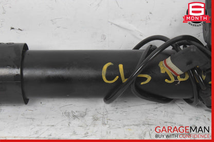 06-11 Mercedes W219 CLS550 Strut Shock Absorber Rear Left & Right Set of 2 OEM