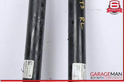 17-23 Tesla Model 3 Rear Left and Rear Right Side Shock Strut Absorber Set OEM