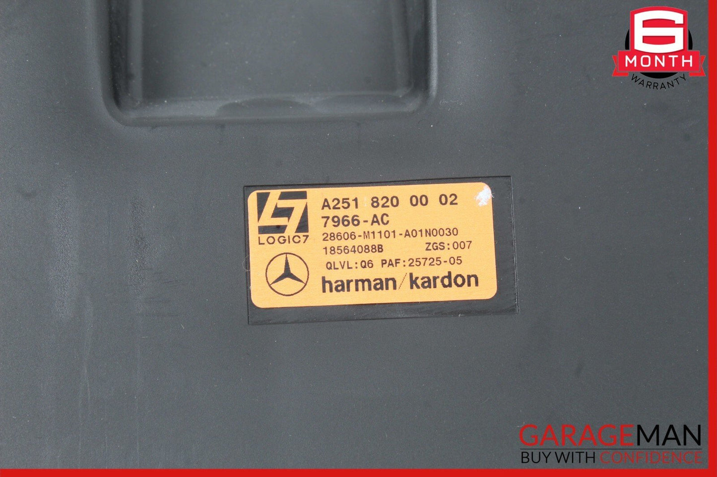 06-12 Mercedes W251 R350 4MATIC Rear Trunk Subwoofer Speaker 2518200002 OEM
