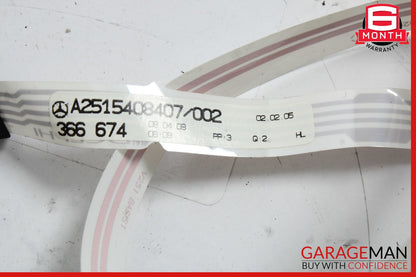 06-13 Mercedes W251 R350 R320 R500 Rear Left Driver Side Door Wire Harness OEM