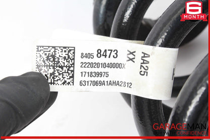 17-23 Cadillac XT5 Rear Left & Rear Right Coil Springs Set of 2 84058473 OEM