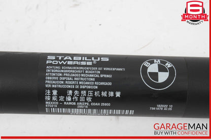 14-18 BMW X5 Left & Right Liftgate Lift Strut Shock Cylinder Support Set OEM