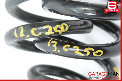 08-14 Mercedes W204 C250 Rear Left & Right Shock Absorber Coil Spring Set OEM