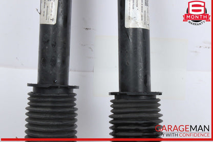 17-23 Tesla Model 3 Rear Left and Rear Right Side Shock Strut Absorber Set OEM