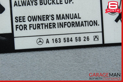 02-05 Mercedes W163 ML500 ML350 Left Driver Sunvisor Shade Cover Gray OEM