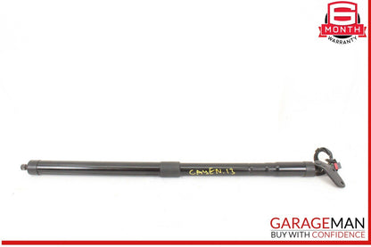 11-14 Porsche Cayenne 958 AWD Left & Right Trunk Lid Lift Support Strut Set OEM