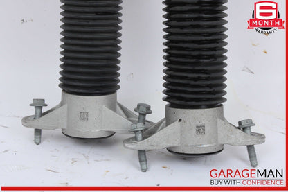 17-23 Tesla Model 3 Rear Left and Rear Right Side Shock Strut Absorber Set OEM
