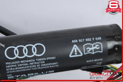 12-18 Audi A7 Trunk Lid Left & Right Shock Lift Support Strut Set 4G8827851F OEM