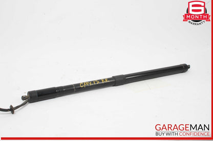 11-14 Porsche Cayenne 958 Left & Right Trunk Lid Lift Support Strut Set OEM