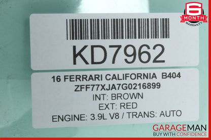 15-18 Ferrari California T Front Left Driver Side Door Window Glass OEM