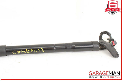 11-14 Porsche Cayenne 958 AWD Left & Right Trunk Lid Lift Support Strut Set OEM