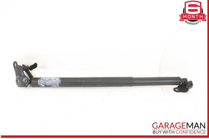 16-22 BMW X1 F48 Rear Right and Left Side Trunk Lift Shock Strut Set OEM