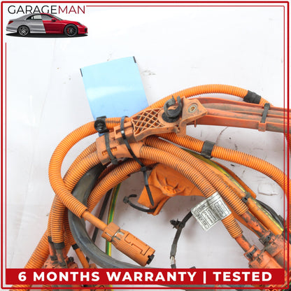 2014-2017 BMW i3 I01 Engine High Voltage Wire Harness Cable Set OEM