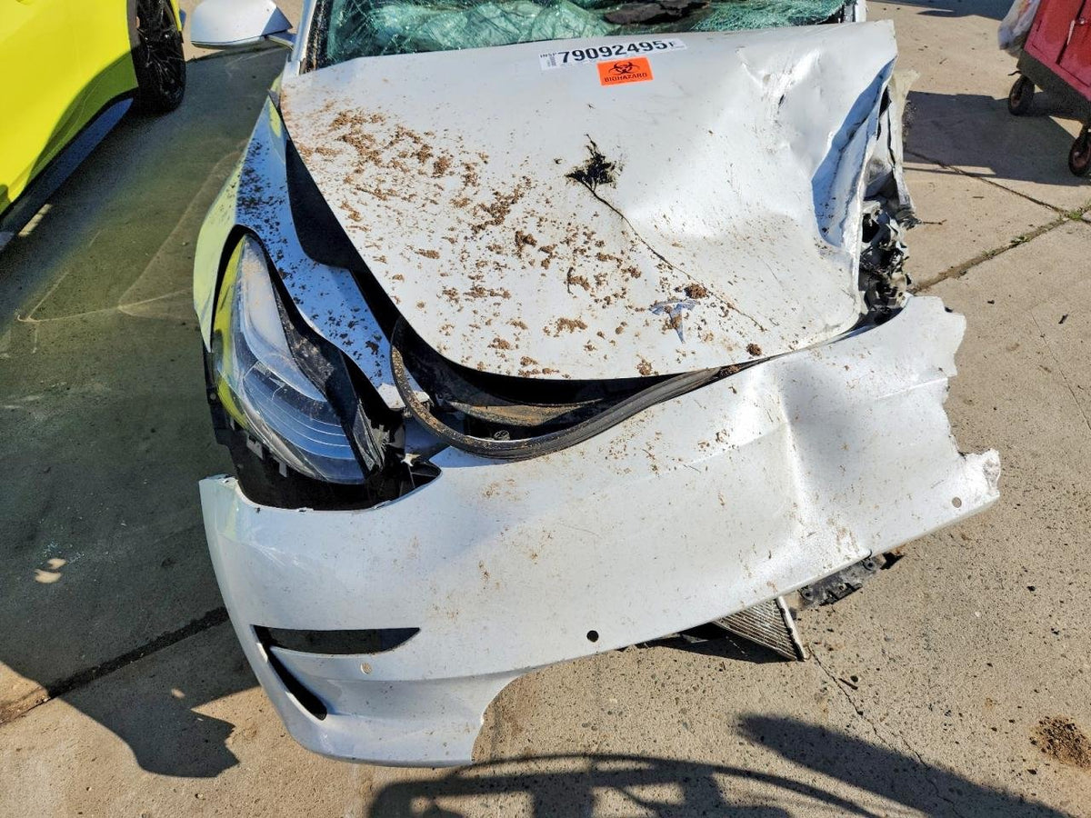 Parting Out- 2019 Tesla Model 3- 258