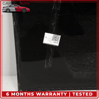 2017-2020 Tesla Model 3 Panoramic Backlite Roof Glass Back Section OEM