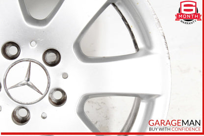 Mercedes W251 R350 ML500 GL450 7.5 X 17" R17 Wheel Rim Silver 2514011002 OEM