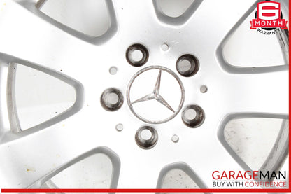 Mercedes W251 R350 ML500 GL450 7.5 X 17" R17 Wheel Rim Silver 2514011002 OEM