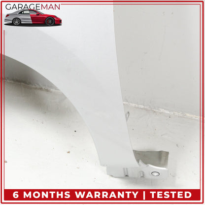 2018-2024 Nissan Leaf Front Left Driver Side Fender Panel F31015SA0A